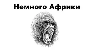Немного Африки