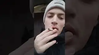 West red обзор