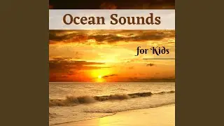 The Sea And The Rhythm