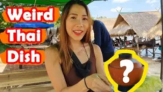 THAI GIRL try weird THAI STREET FOOD for the first time