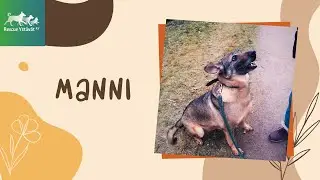 Manni