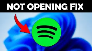 How to Fix Spotify Application Not Responding in Windows 11 | Easy Solutions | 2025