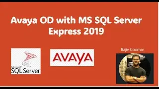 AvayaOD with MS SQL Server Express 2019 | Read The Manual