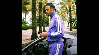 [FREE] playboi carti x pierre bourne type beat - "daydream" (prod. level)
