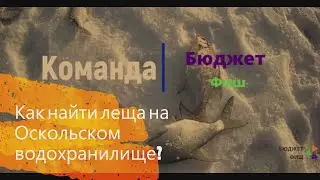 Как найти леща на Оскольском водохранилище.