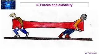 Forces and elasticity