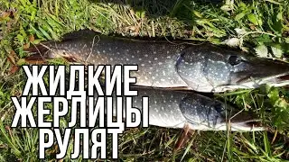 Жидкие жерлицы рулят. Рыбалка на жидкие жерлицы. Кружки нового поколения.