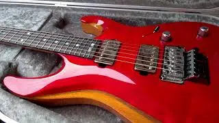 Taisto Guitars V25-FR ECM Berry in case
