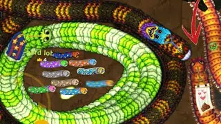 Little Big Snake Pro Never Mess With Tiny Snake Epic Gameplay!