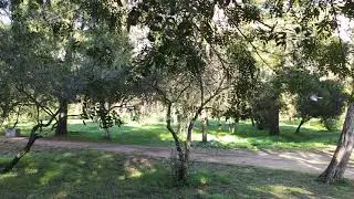 VID 20211202 144533