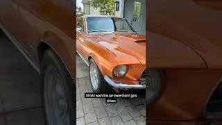 68 Mustang fastback comes out to play #shorts