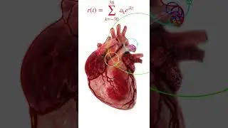 Shape of My Heart #shorts