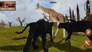 Ultimate Panther Simulator | Panther Game - Wild Panther Hunting Simulator Android Gameplay - #1