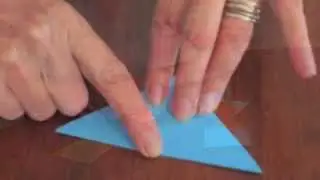 The Letterist Bookcraft - Stars & Caterpillars