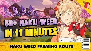Genshin Impact Guide: Naku Weed Farming Route