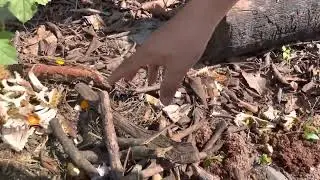 Mulching a different type
