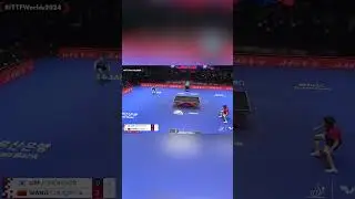 WTT, CAN WE HAVE A NEW ANGLE PLEASE? 