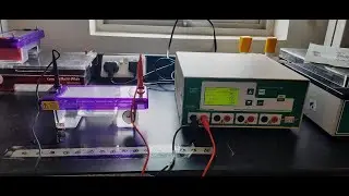 Master Agarose Gel Electrophoresis: Step-by-Step Guide for DNA Analysis | Biology Beacon