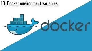Docker environment variables