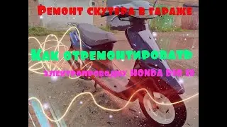 HONDA DIO 18 ремонт электрики