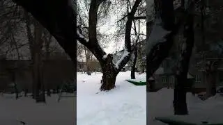 Детский Сад в городе Барнаул