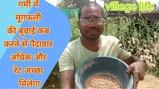 गर्मी में मूंगफली की बुवाई villege life full video part -1 #mungfali ki kheti kaise