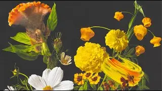 Kim Sung Yoon 김성윤 : Frieze LA 2024