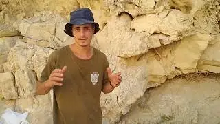 צמח ההתייבשות | מדריך במדבר ללא מים