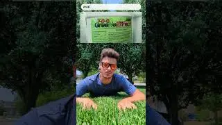 How to Green up a Lawn in Summer???  #lawncarepro