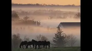 Очень интересный исторический фильм  2017  'Циклоп'