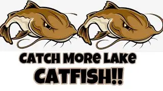 HOW TO Catch Catfish In a LAKE - Catfishing Tips, Tricks, Baits, Techniques!