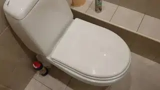 Обзор на туалет