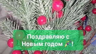 Друзья, поздравляю вас с Новым годом!