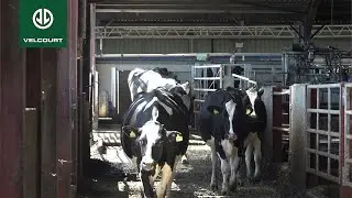 Ross Edwards, Dairy Farm Manager, on Velcourt's MTS