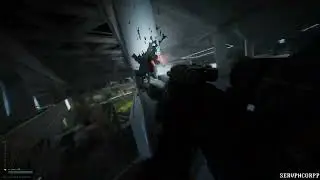 EFT: Visceral Dismemberment Montage