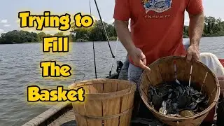 Blue Crabbing The Chesapeake Bay