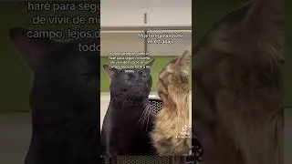Yo en el trabajo siendo artista 🥴