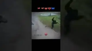 #dog #vs #monkey #fight