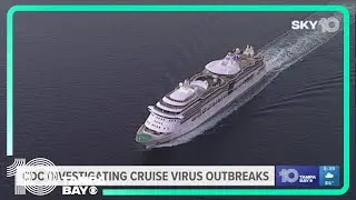 Stomach virus breaks out on 2 cruises, including Tampa-based ship, infecting nearly 200 people