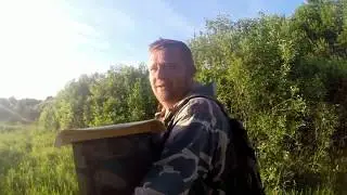 Как я снимал первый в жизни  рой. Это ПИzdетс ,товарищи!!! Ржач полный!