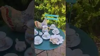 Распустились розы.