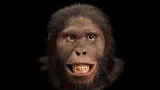 Gallery walk of the Evolution of Man