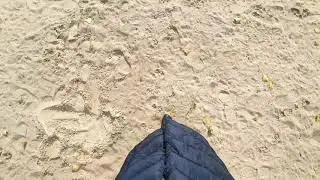 Осенний крик уходящего тепла...🏝🏞Autumn cry of outgoing heat ... 🏝🏞