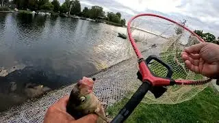 Лещ на фидер, мнооого леща, отчёт Но 265