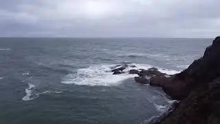 Polperro, Cornwall, UK (Historical Fishing Village)