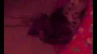 SCOPATA IN DIRETTA DI PEPITO