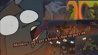 Monkey can't get a break clips in part 48 @BluntBrothersProductions