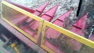 Молотим подсолнух,акрос 580