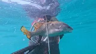 Hidden Treasures of the Black Sea | Spearfishing in Giresun