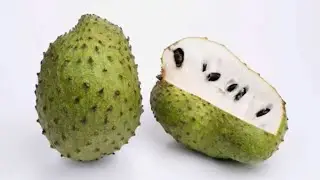 Soursop - How I grew it from seed